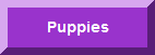 MN & Wisconsin Puppies