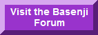 meet and share stories about basenji